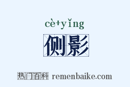 侧影是什么意思的图片